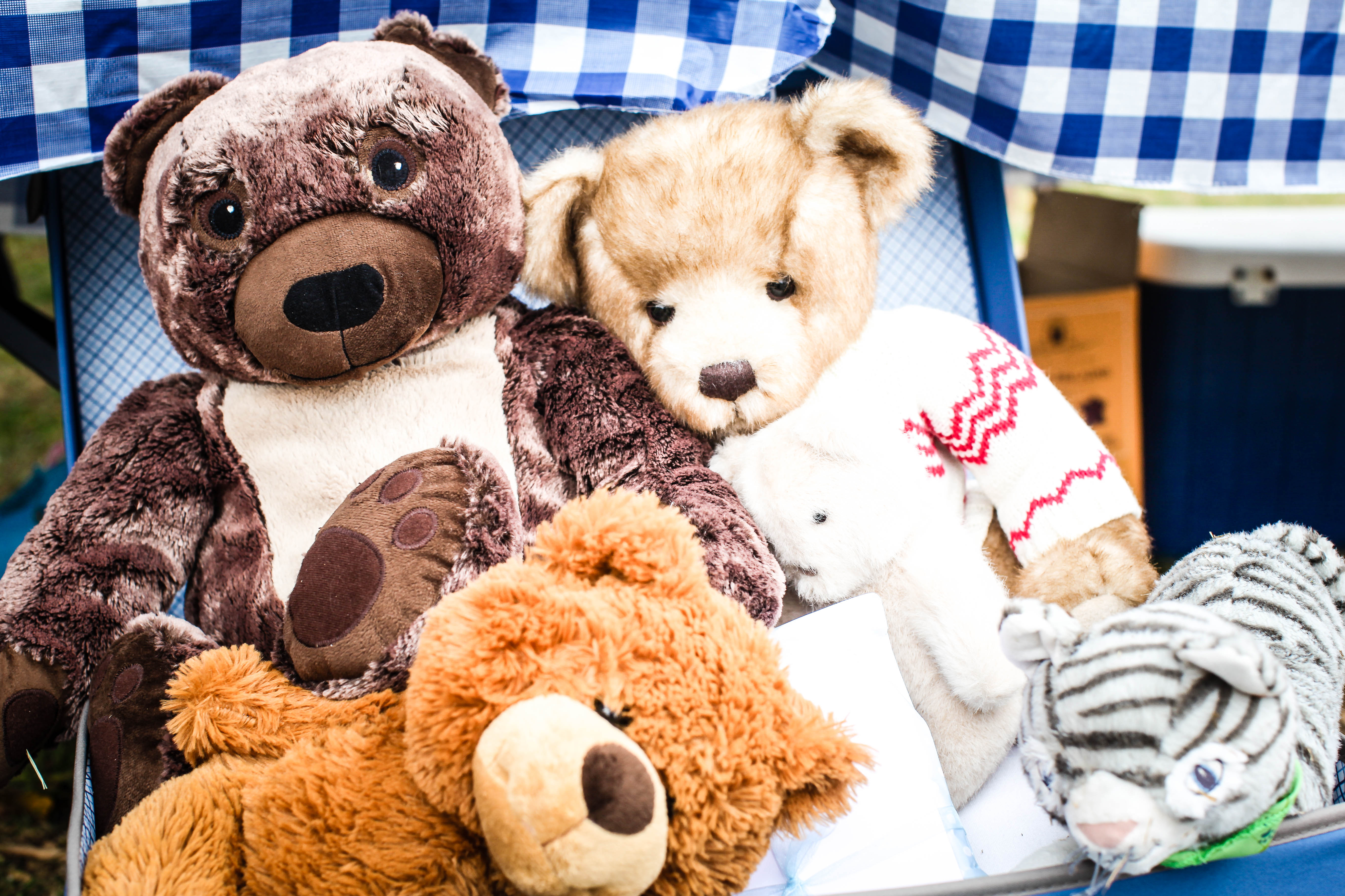 Hamish1stBirthday-55